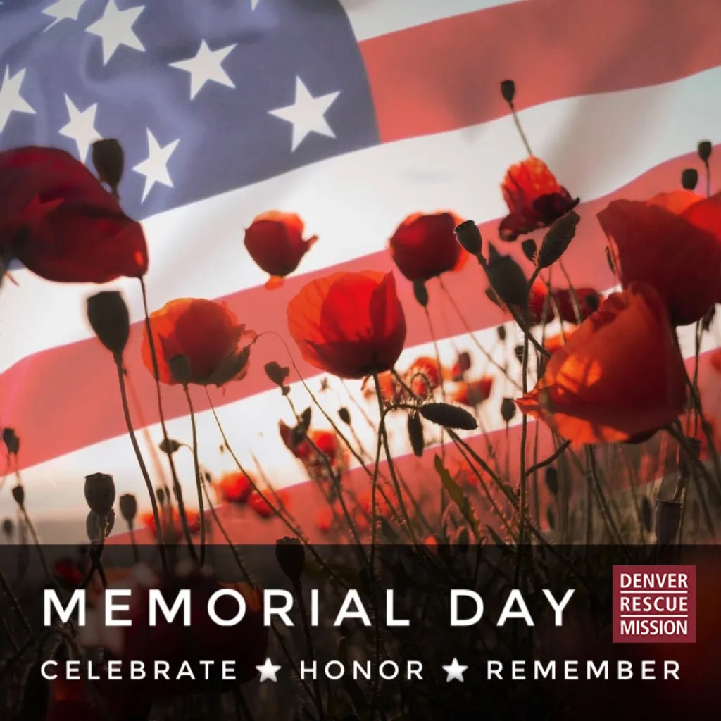 Hope Sprouts In the Most Unlikely Places