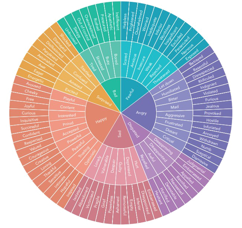 The Feelings Wheel Graphic