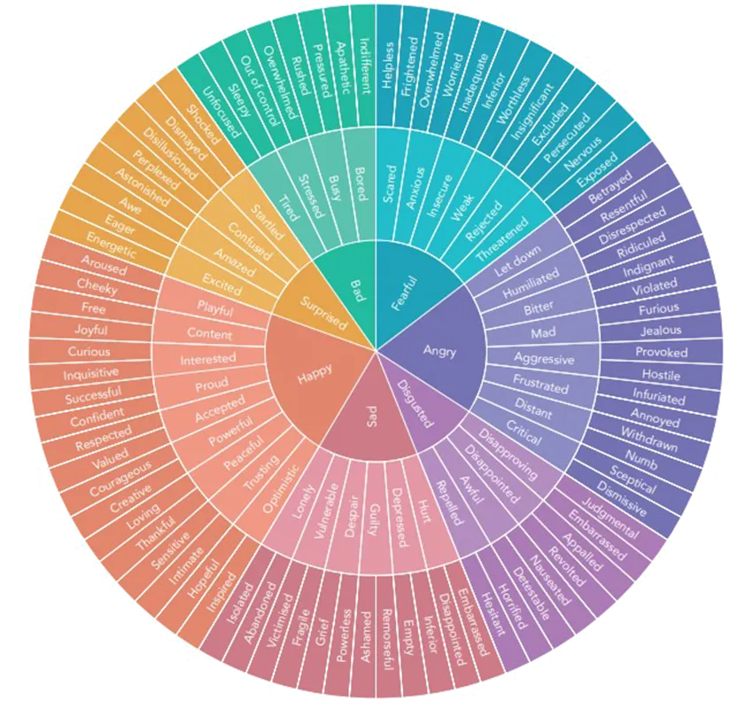 The Feelings Wheel Graphic