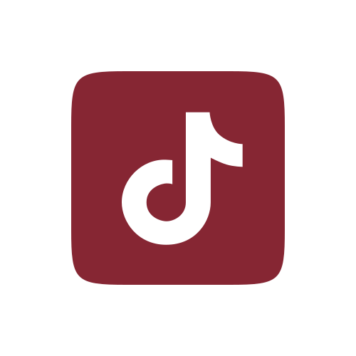 TikTok logo