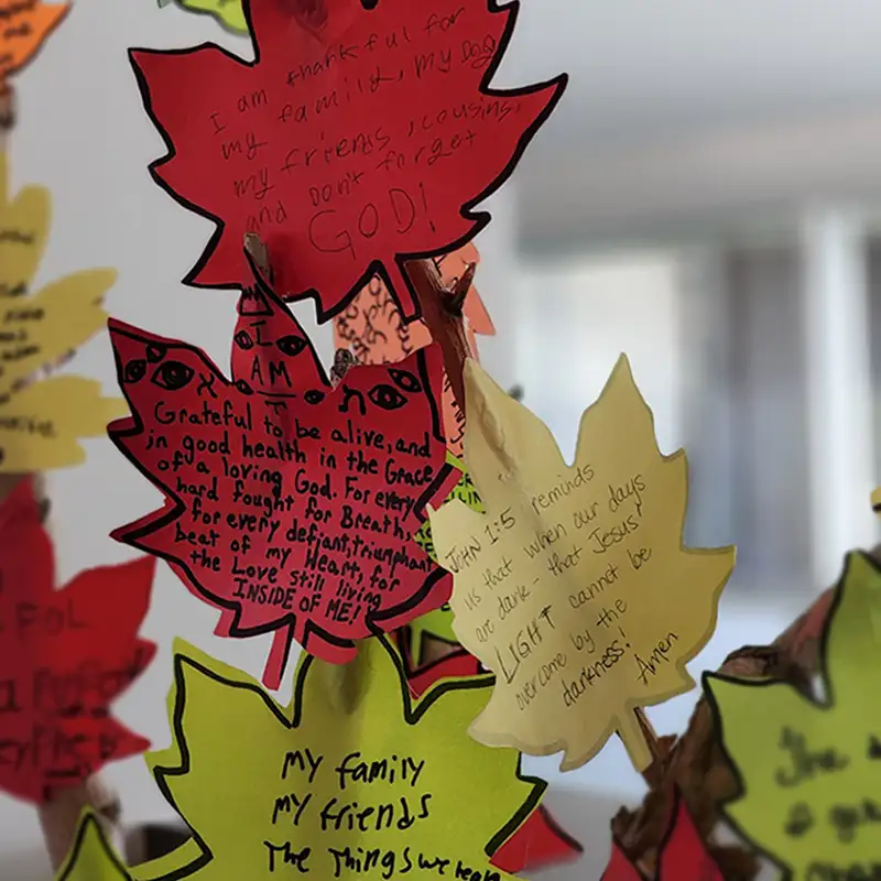 Leaves from gratitude tree
